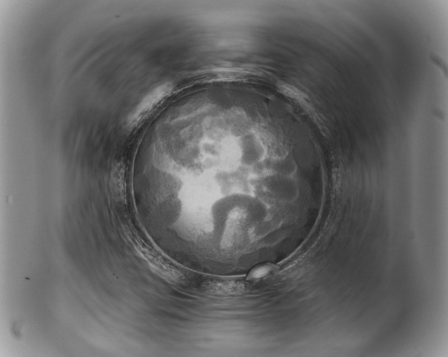 X0000102241403200807251249