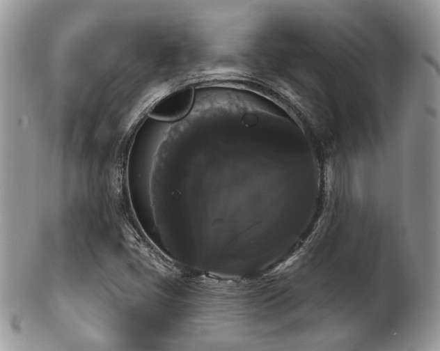 X0000102241405200807251249