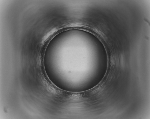 X0000102241406200807251249