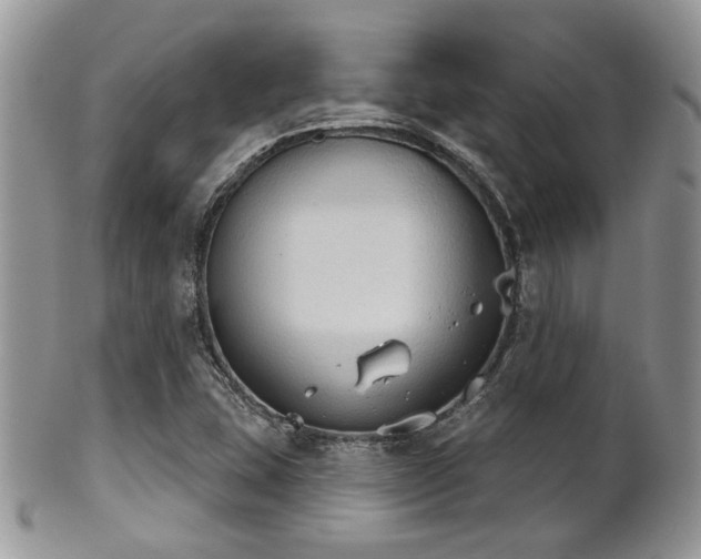 X0000102241407200807251249