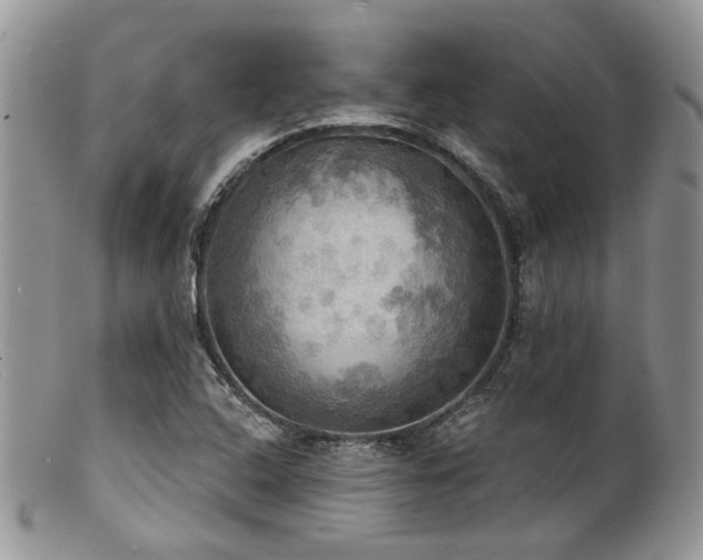 X0000102241408200807251249