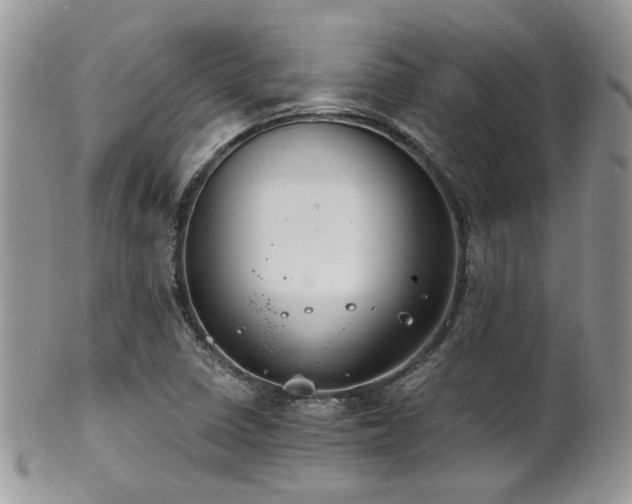 X0000102241410200807251249