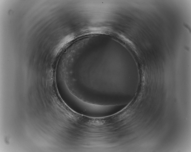 X0000102241411200807251249