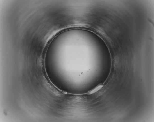 X0000102241412200807251249