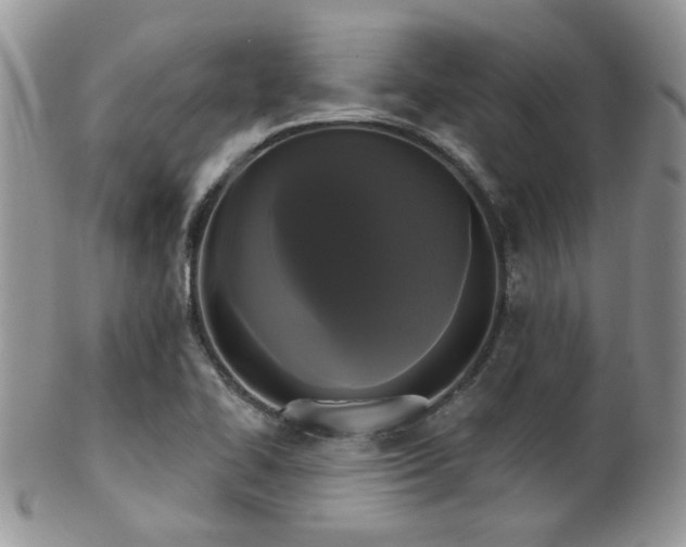 X0000102241414200807251249