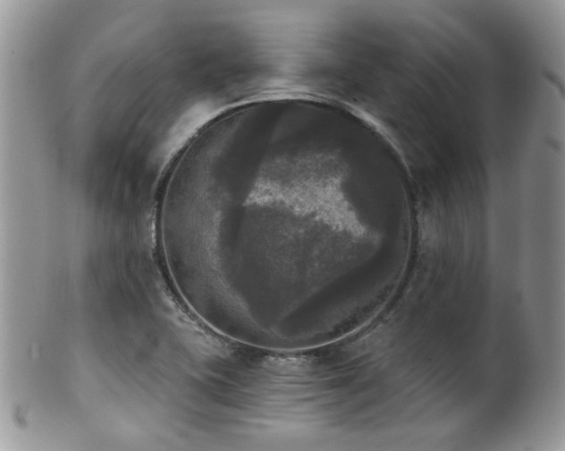 X0000102241415200807251249