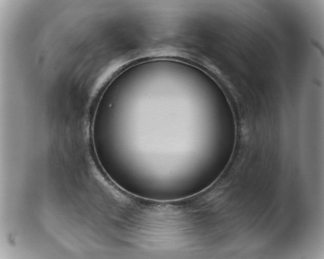 X0000102241416200807251249