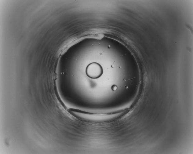 X0000102241417200807251249