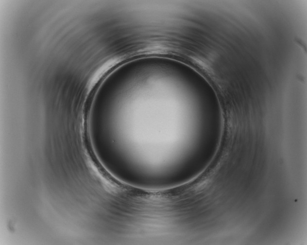 X0000102241418200807251249