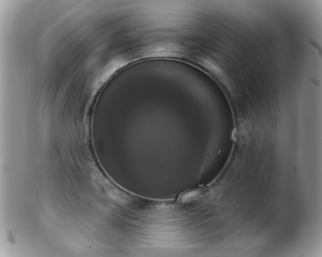 X0000102241419200807251249