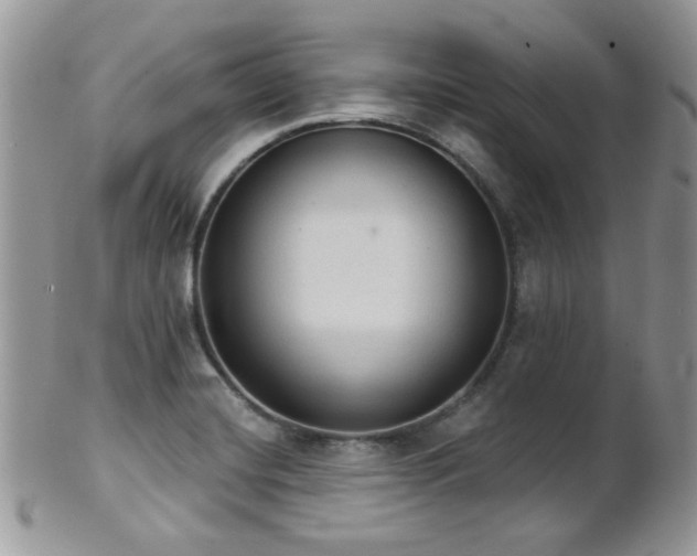 X0000102241420200807251249
