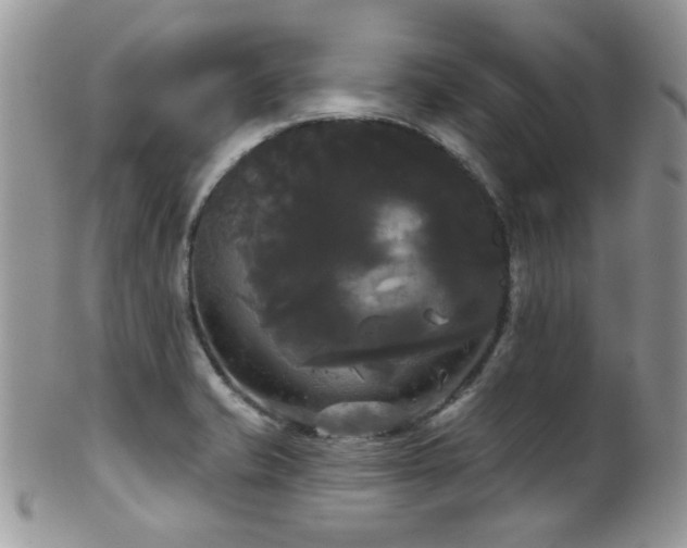 X0000102241421200807251249
