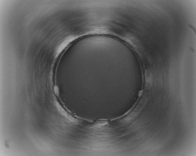 X0000102241422200807251249