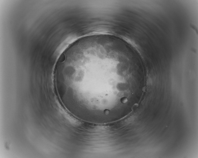 X0000102241423200807251249