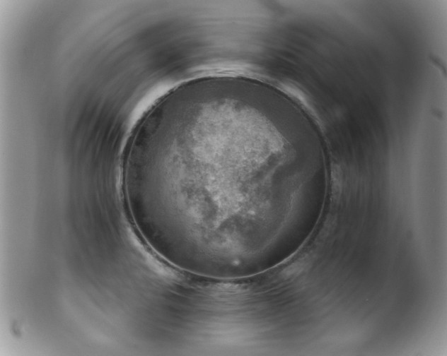 X0000102241424200807251249