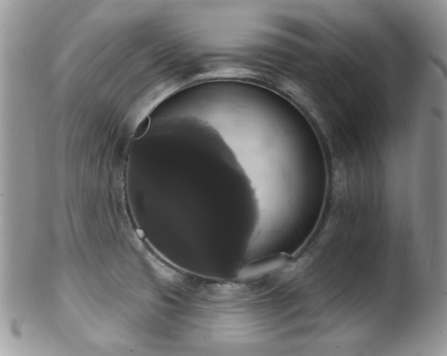 X0000102241425200807251249