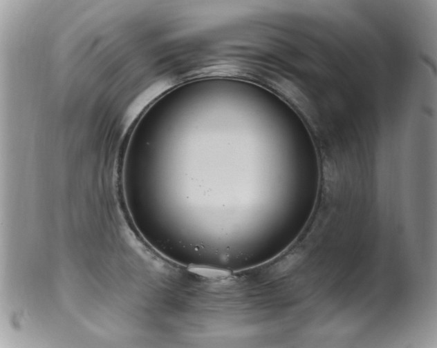 X0000102241426200807251249