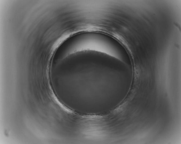 X0000102241429200807251249