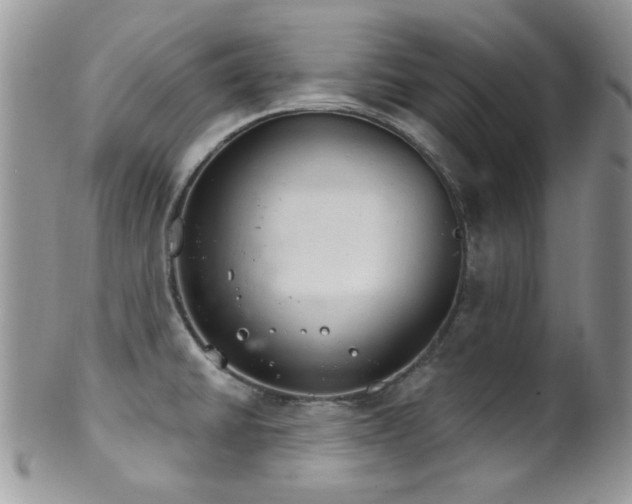 X0000102241430200807251249