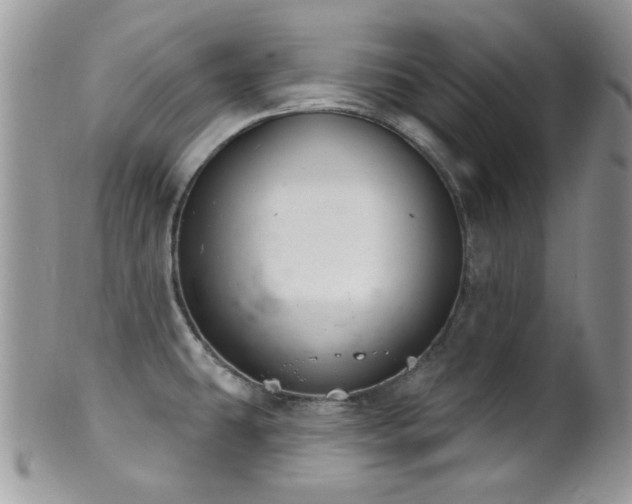 X0000102241431200807251249