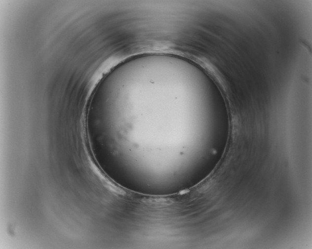 X0000102241432200807251250