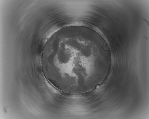 X0000102241433200807251250