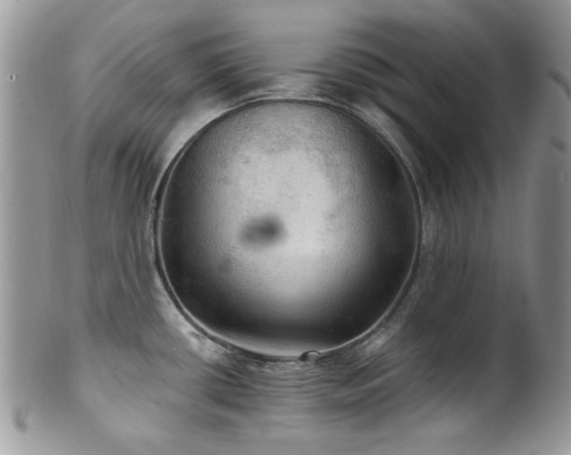 X0000102241434200807251250