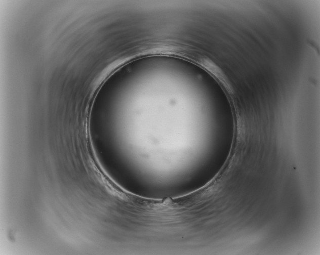 X0000102241436200807251250