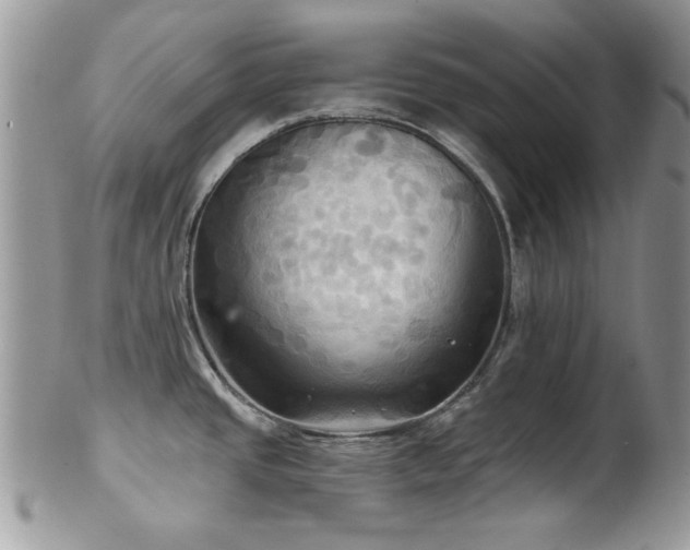 X0000102241437200807251250