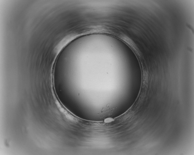 X0000102241439200807251250