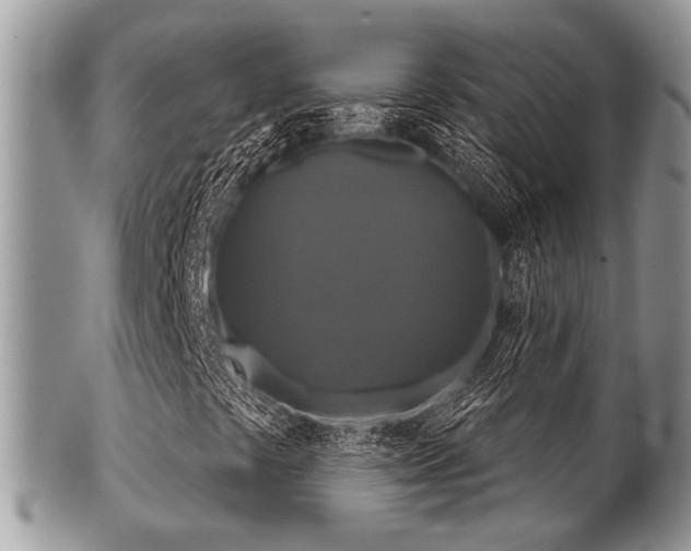 X0000102241441200807251249
