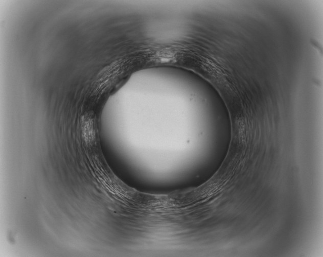 X0000102241442200807251249