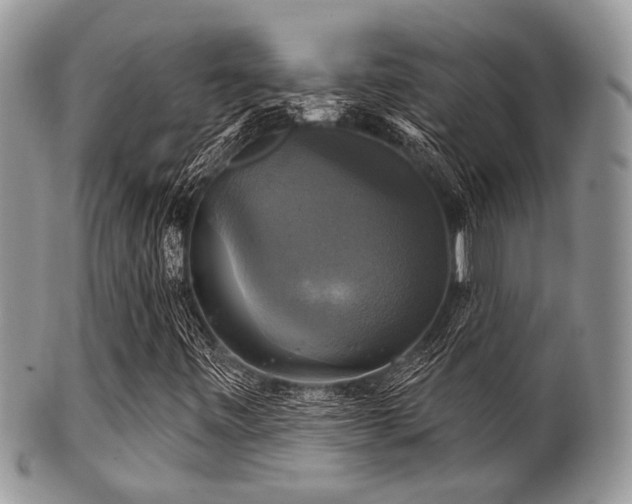 X0000102241443200807251249