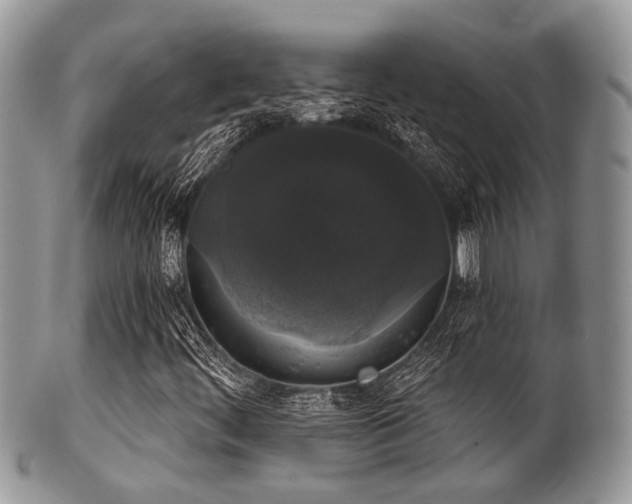 X0000102241444200807251249