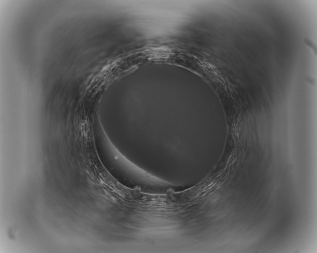 X0000102241445200807251249