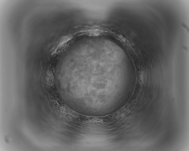 X0000102241446200807251249