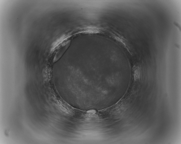 X0000102241448200807251249