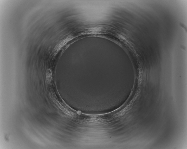 X0000102241449200807251249