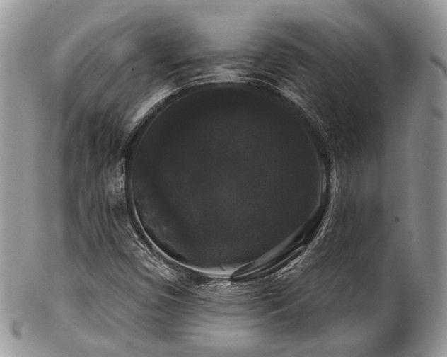 X0000102241450200807251249
