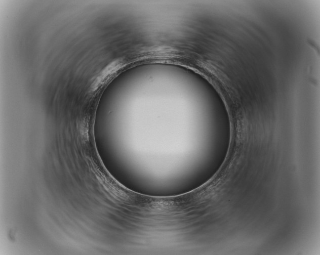 X0000102241451200807251249