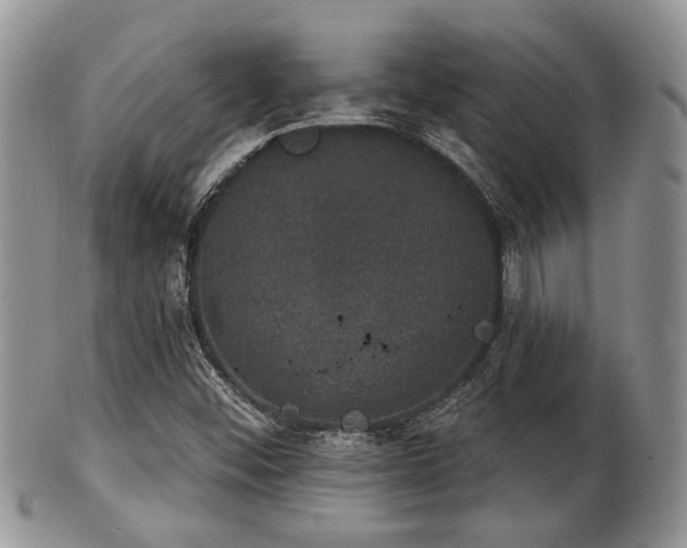 X0000102241452200807251249