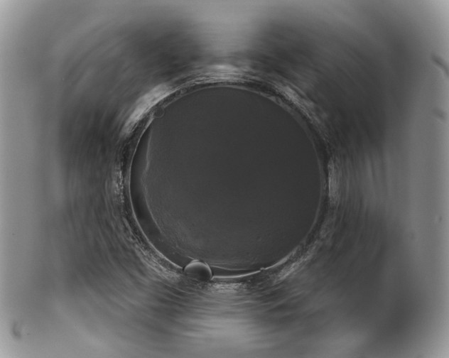 X0000102241453200807251249