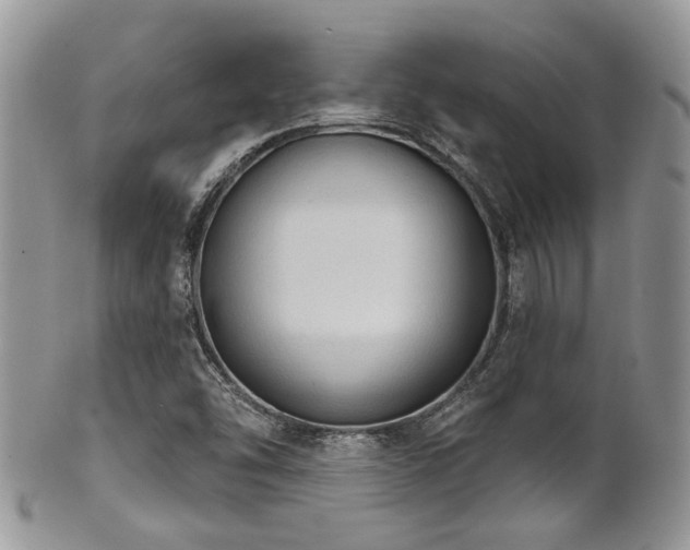 X0000102241454200807251249