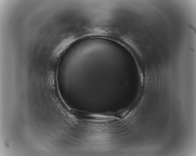 X0000102241455200807251249