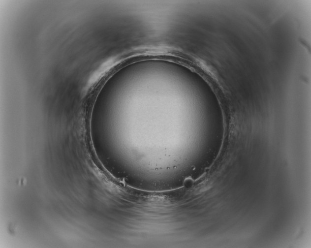 X0000102241456200807251249