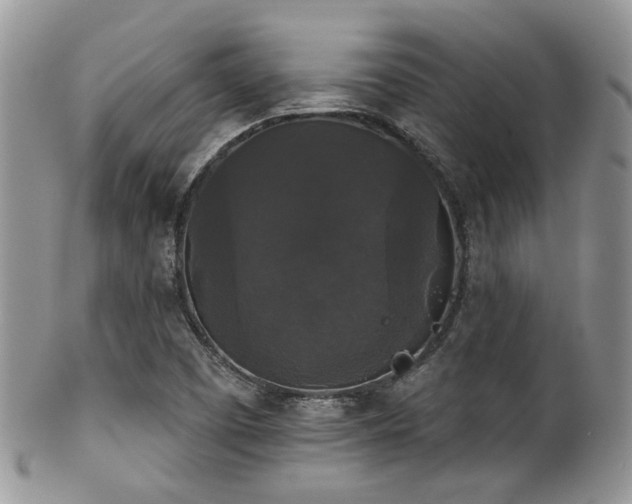 X0000102241457200807251249