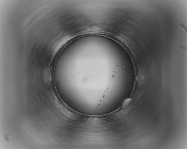 X0000102241458200807251249
