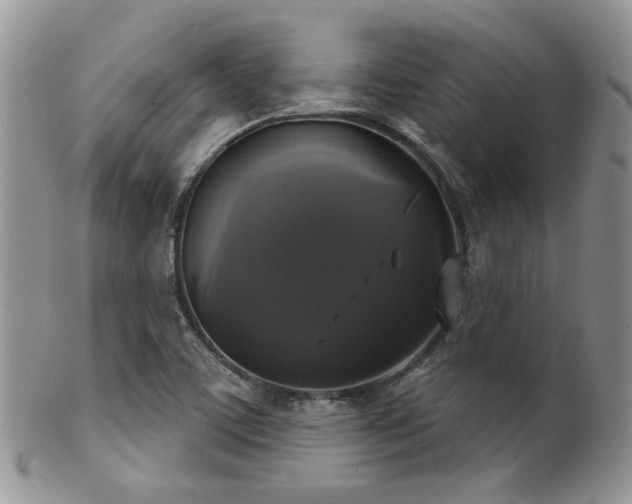 X0000102241459200807251249