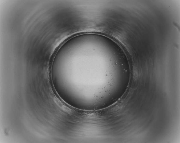 X0000102241460200807251249