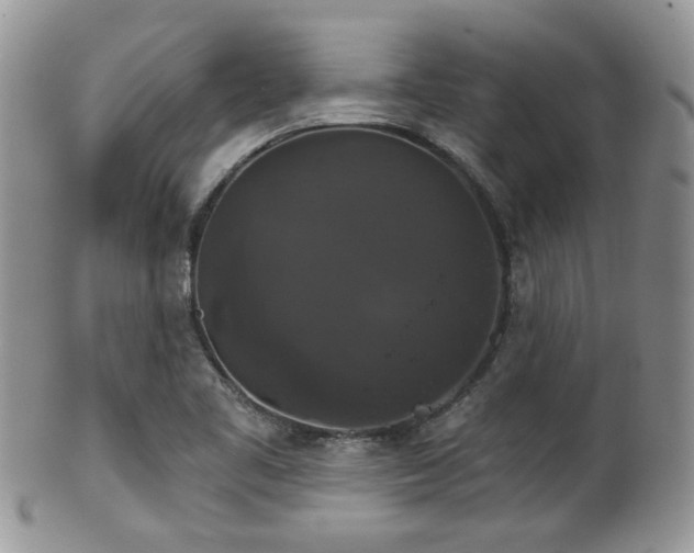 X0000102241461200807251249